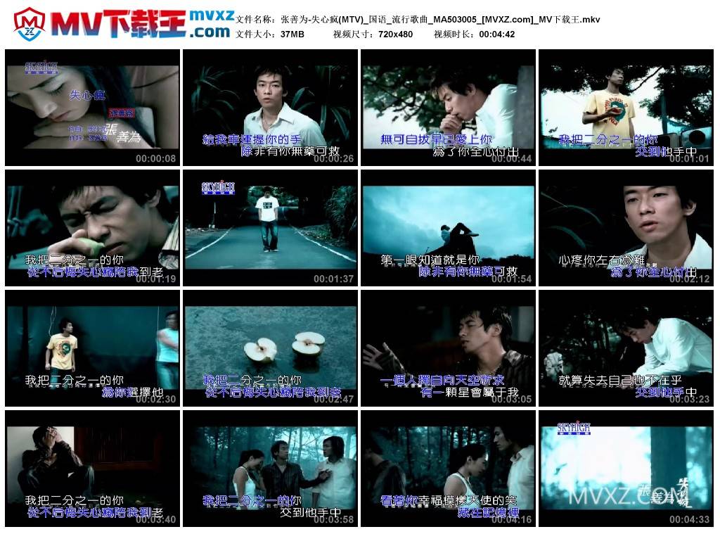 张善为-失心疯(MTV)_国语_流行歌曲_MA503005